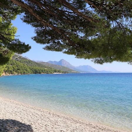Mobile Homes Dole Živogošće Εξωτερικό φωτογραφία